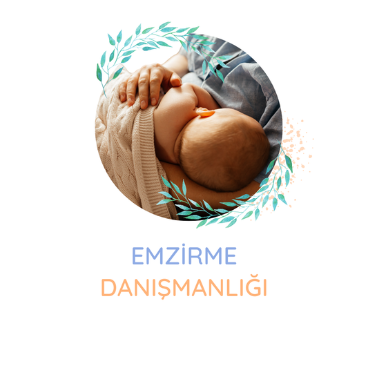 Emzirme Danışmanlığı